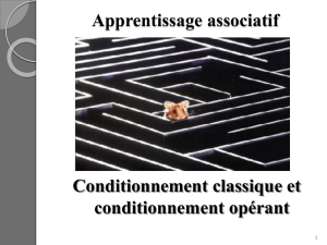 Apprentissage par association