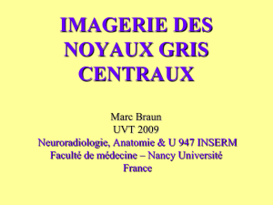 IMAGERIE DES NOYAUX GRIS CENTRAUX