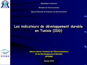 Presentation-IDD fevrier 2015 Sfax