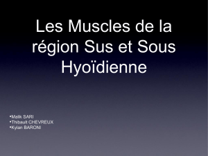 Les Muscles de la région Sus et Sous Hyoïdienne