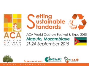 African Cashew Alliance (ACA)