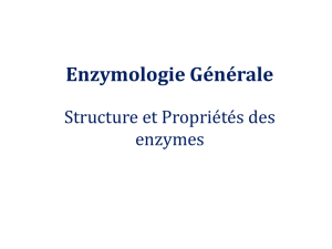 Enzymologie - WordPress.com