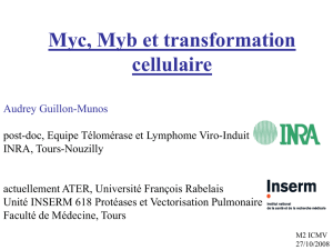 myc, myb et transformation cellulaire