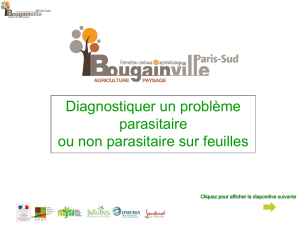 Diapositive 1 - CFPPA.UFA Bougainville
