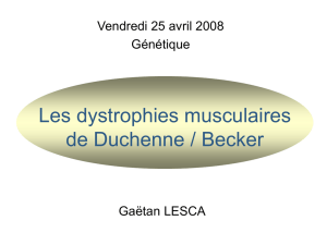 Dystrophies musculaires