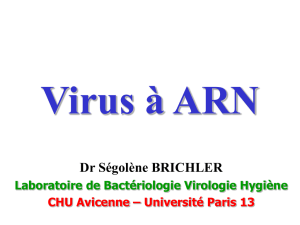 Virus à ARN