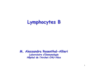 I. Lymphocytes B - carabinsnicois.fr