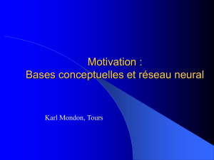 Motivation : Bases conceptuelles et réseau neural