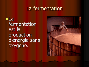 La fermentation - hrsbstaff.ednet.ns.ca