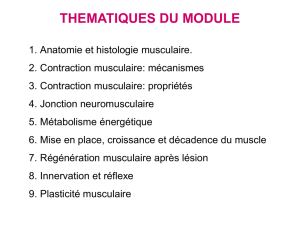 Physiologie neuro-musculaire