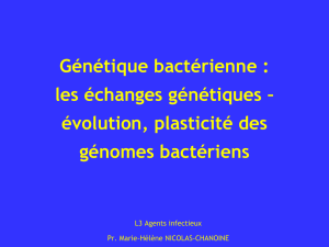 Génétique bactérienne : les échanges génétiques