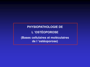 Physiopathologie de l`ostéoporose