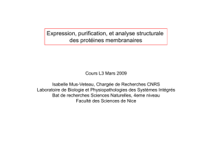 I.1 - Expression, purification et analyse structurale