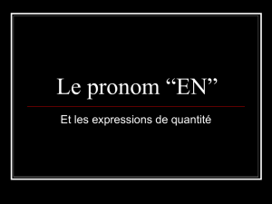 Le pronom en