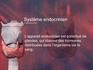 Le système endocrinien - hrsbstaff.ednet.ns.ca