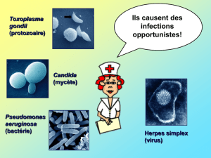 Les infections opportunistes