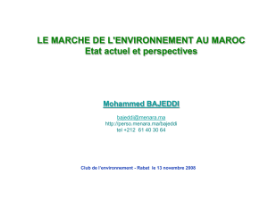 Le marché de l`environnement au Maroc : Etat actuel et perspectives
