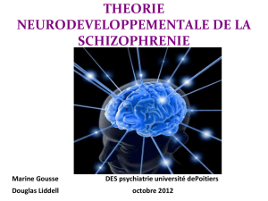 Les th&eacute;ories neurod&eacute;veloppementales de la schizophrenie