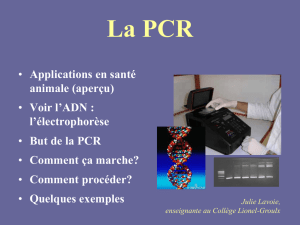 DIAPOS - la PCR en T. S. A. - Collège Lionel