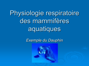 Physiologie respiratoire des mammifères aquatiques
