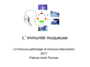 ImmunitÃ© muqueuse