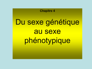 1°)- Du sexe génétique au sexe gonadique
