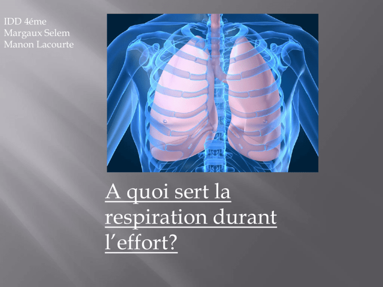 a-quoi-sert-la-respiration-durant-l-effort