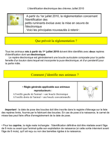 L`identification électronique des chèvres Juillet 2010 - E