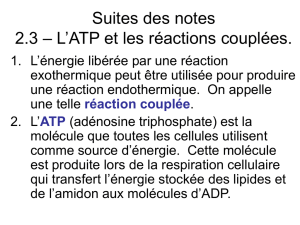Suites des notes 2.3 – L`ATP et les réactions
