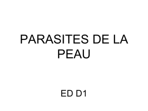 ED 2 PARASITES DE LA PEAU