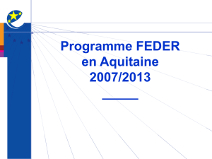 Préparation Programme opérationnel Feder 2007/2013