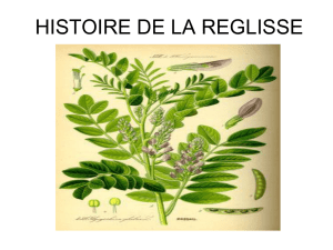HISTOIRE DE LA REGLISSE