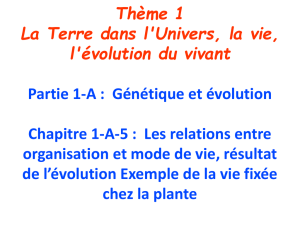 Thème 1 - La Terre dans l`Univers, la vie, l`évolution du vivant Partie