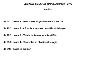 Plasticité des cellules souches?