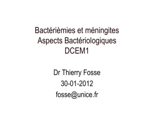 Bactérièmies - carabinsnicois.fr