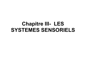 les systemes sensoriels