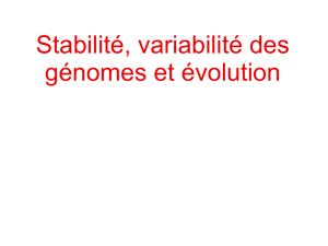 Stabilité, variabilité des génomes et évolution
