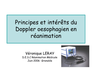 gre-leray1 - DESC Réanimation Médicale