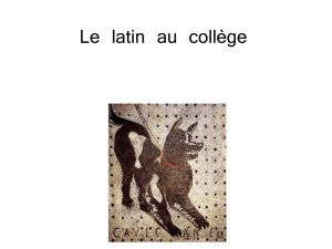 le latin au collège