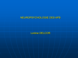 Cours de neuropsychologie 2004-2005 (L