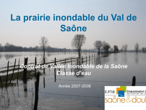 La Saône La prairie inondable