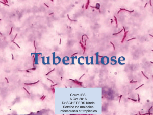 11-la-tuberculose