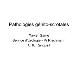 Pathologies génito-scrotales
