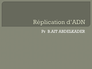 Réplication d`ADN - medecine dentaire alger 2014-2015