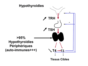 Hypothyroïdie (Diaporama)