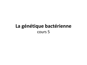 La génétique bactérienne