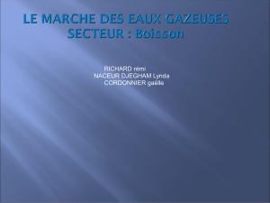 LE MARCHE DES EAUX GAZEUSES SECTEUR : Boisson