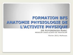 formation bf5 anatomie physiologie de l activite physique