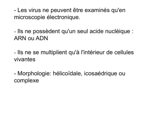 Le virus