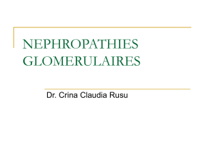 NEPHROPATHIES GLOMERULAIRES